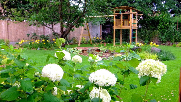 madárbarát kert madáritatóval, nagy zöld felületek, évelő növényekkel